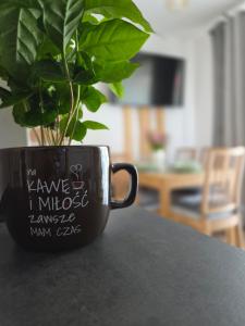 a black coffee cup with a plant on a table at Family HOUSE in Witów