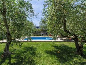 Bazén v ubytování Apartment Chiara by Interhome nebo v jeho okolí