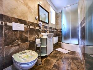 a bathroom with a toilet and a shower and a sink at Apartment Formanka by Interhome in Liberec