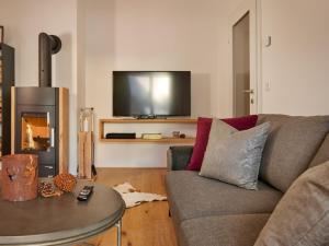 陶普利茨Apartment Mountain Suite A10 by Interhome的带沙发和壁炉的客厅