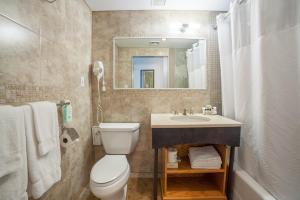 ein Badezimmer mit einem WC, einem Waschbecken und einem Spiegel in der Unterkunft Hotel Mulberry in New York
