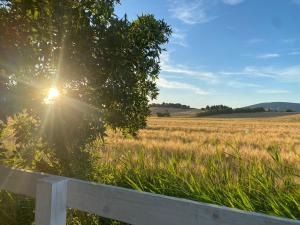 Galeriebild der Unterkunft Agriturismo Hornos in Numana + 41 Fotos