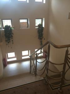 Foto dalla galleria di Hotel Fiama a Oţelu Roşu