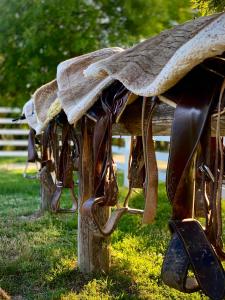 Galeriebild der Unterkunft Agriturismo Hornos in Numana