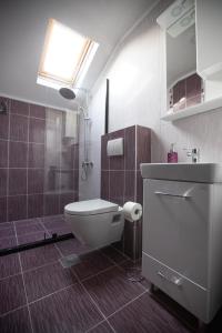 a bathroom with a toilet and a shower and a sink at Apartmani Trio in Trebinje +52 photos