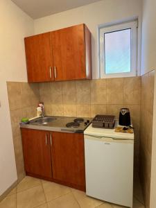 Köök või kööginurk majutusasutuses Apartmani Stanisic