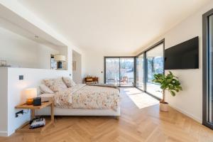 TV a/nebo společenská místnost v ubytování MENTHON- Villa W Architecte 2 pas du lac by LLA SELECTIONS