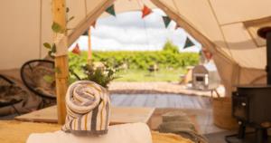 蒂克纳尔Broadleaves Luxury Glamping的相册照片