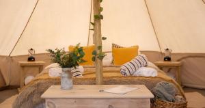 Broadleaves Luxury Glamping的休息区