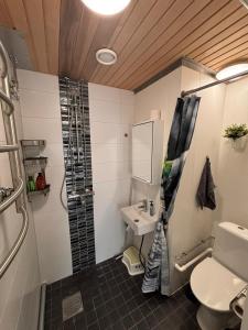 a bathroom with a toilet and a sink and a shower at Loft style big studio for 2-4 in Pikku Huopalahti in Helsinki