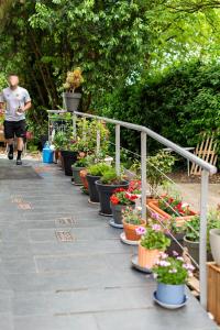 Cruce de Caminos Arzúa外面的花园