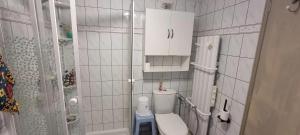 a small bathroom with a toilet and a shower at Appartement charmant près du lac à Saint-Point-Lac in Saint-Point-Lac