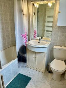 a bathroom with a sink and a toilet at Gîtes de la Mouette Le Tourteau 5-6 pers in Ravenoville +12 photos