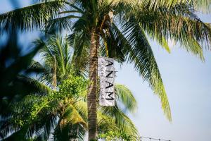 a palm tree with a sign in front of it at Anam Beach Resort in Calatagan