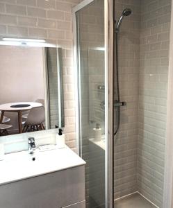 une salle de bain avec une douche avec un lavabo et un miroir dans l'établissement La Cachette - Maisonnette - Wifi - TV, à Tours