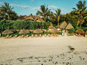 a beach with chairs and straw umbrellas and palm trees at Zoi Retreat Hotel Zanzibar in Matemwe