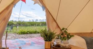 Broadleaves Luxury Glamping外面的花园