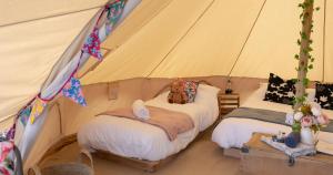 和主人一起入住Broadleaves Luxury Glamping的宠物