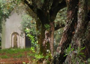 Foto dalla galleria di Quinta do Cerquito a Ferreira do Zêzere