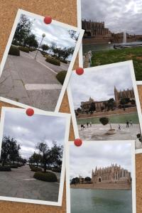 Fotografie z fotogalerie ubytování Mystique v destinaci Palma de Mallorca