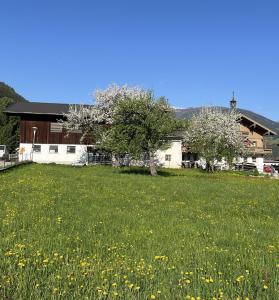 Nespecifikovaný výhled na hory nebo výhled na hory při pohledu z apartmánu