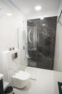 un bagno con wc e doccia in vetro di Elarion Elegant Port Apartment a Città di Corfù Altre 53 foto