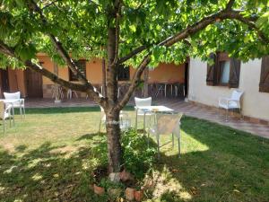 Afbeelding uit fotogalerij van Don Camino Casa Aurea in Villalcázar de Sirga