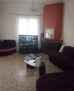 TV a/nebo společenská místnost v ubytování Constantina D Apt Argos