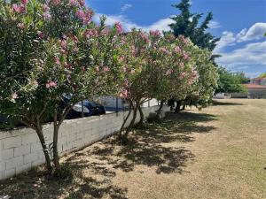 a row of trees with pink flowers next to a wall at Salt & Sea in Sykia Chalkidikis