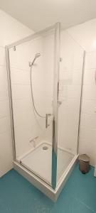 a shower with a glass enclosure in a bathroom at Apartment 1 in Altstadt in Angermünde in Angermünde +20 photos