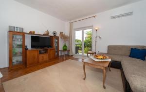 TV a/nebo společenská místnost v ubytování 3 Bedroom Beautiful Home In Debeljak