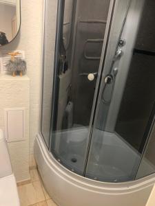 een douche met een glazen deur in een badkamer bij Studio IT on Tumo in Plungė