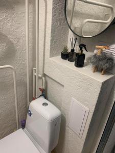 bagno bianco con servizi igienici e specchio di Studio IT on Tumo a Plungė Altre 9 foto