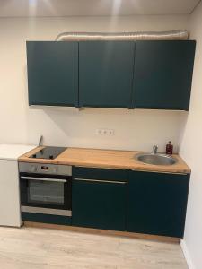 una cucina con armadi verdi e lavandino di Studio IT on Tumo a Plungė