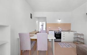 a kitchen with a table and chairs in a room at 1 Bedroom Lovely Apartment In Brodarica in Brodarica