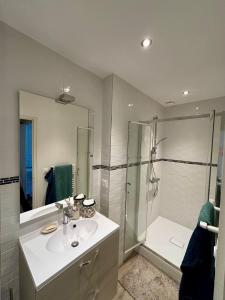 un baño con lavabo y ducha en Cozy apartment, en Le Mans 6 fotos más