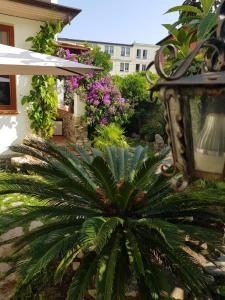 a plant in front of a building with flowers at Ca' do Dria in La Spezia