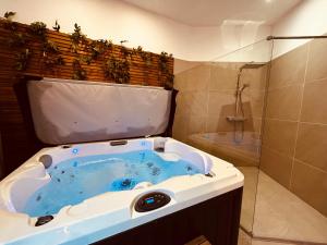 un bagno con vasca idromassaggio e doccia di La Palmer Le 50 Suites and SPA a Bordeaux Altre 4 foto