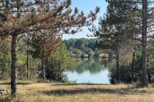 a view of a lake through a group of trees at Résidence Dalma appartement 6 in Cazaubon +2 photos