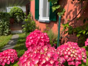 Vrt pred nastanitvijo Hotel Garni dei fiori