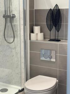 a bathroom with a shower and a toilet and towels at Luxury 1 bedroom, 1 bath apartment by MCF in Horley +24 photos