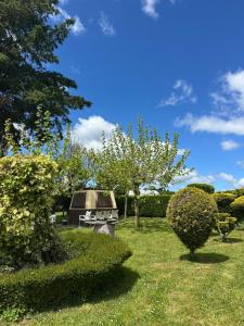 a grill in a yard with trees and bushes at A casa de Carmen in Sarria +30 photos