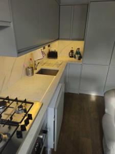 una cocina con estufa horno superior al lado de un fregadero en Superb luxury 2 beds in Victoria Pimlico Westminster, en Londres