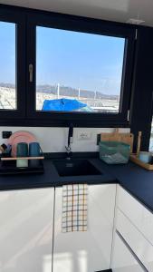 Kuchyň nebo kuchyňský kout v ubytování Jacuzzi & relax on greyhouseboat + 8 fotografií