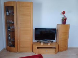 TV a/nebo společenská místnost v ubytování APARTMENT Eva in OBDACH