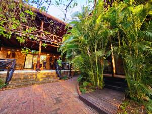Zahrada ubytování Kruger Dreams Lodge