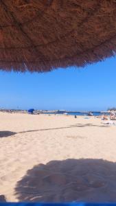 Bãi biển gần/ngay tại biệt thự