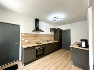 a large kitchen with a sink and a stove at Haut' Valentin in Pontarlier