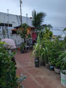 チェンナイにあるCarbon Stays - Couples & Travelers Friendly Stayのたくさんの鉢植えと建物のあるパティオ +4枚の写真