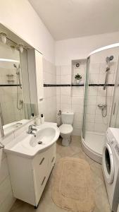 a bathroom with a sink and a toilet and a shower at Modern apartment Kali - with panoramic view in Kali